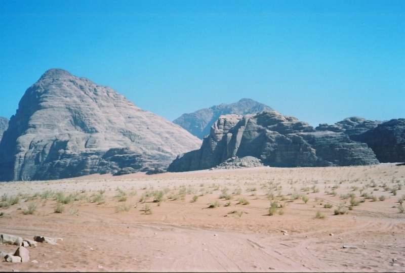 04.jpg