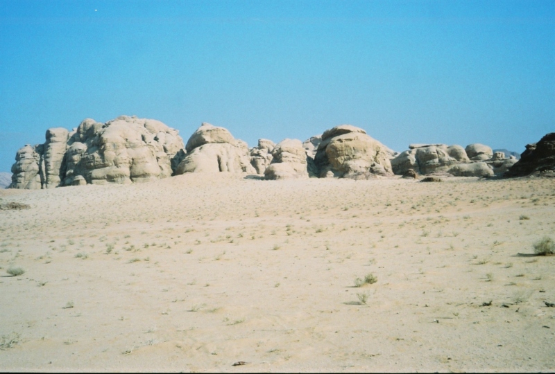 08.jpg
